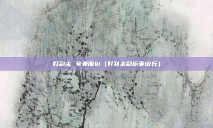 好利来 全麦面包（好利来和原麦山丘）