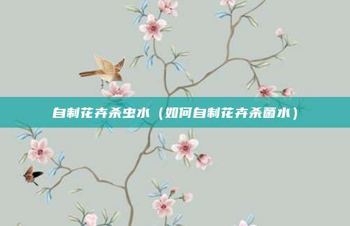 自制花卉杀虫水（如何自制花卉杀菌水）