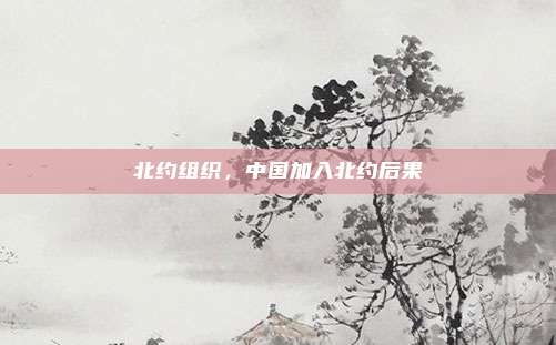 北约组织,中国加入北约后果