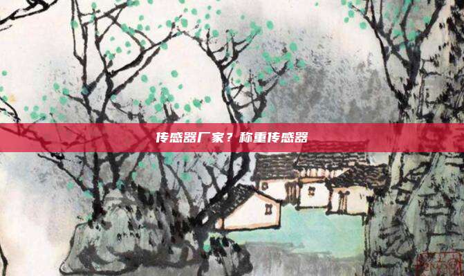传感器厂家?称重传感器