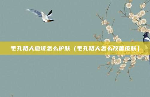 毛孔粗大应该怎么护肤（毛孔粗大怎么改善皮肤）