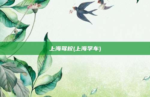 上海驾校(上海学车)