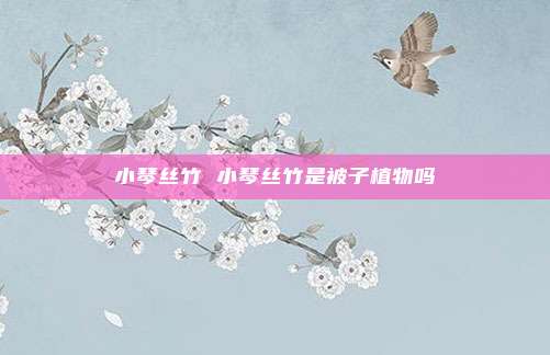 小琴丝竹 小琴丝竹是被子植物吗