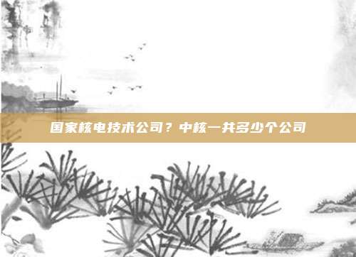 国家核电技术公司?中核一共多少个公司