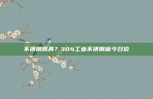 不锈钢模具？304工业不锈钢板今日价