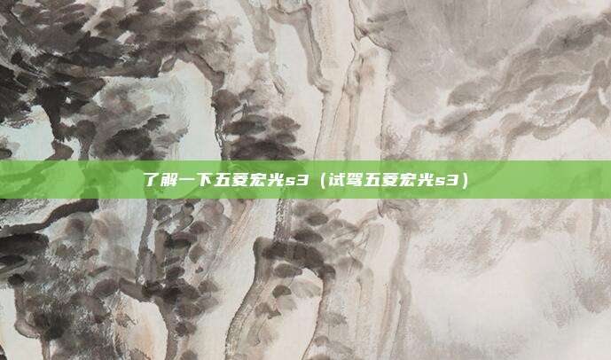 了解一下五菱宏光s3（试驾五菱宏光s3）