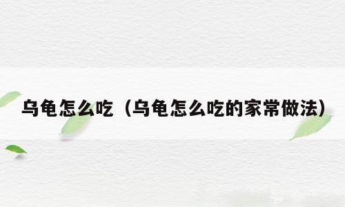 乌龟怎么吃（乌龟怎么吃的家常做法）
