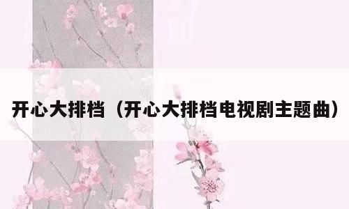 开心大排档（开心大排档电视剧主题曲）