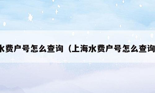 水费户号怎么查询（上海水费户号怎么查询）