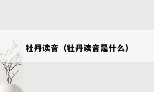 牡丹读音（牡丹读音是什么）