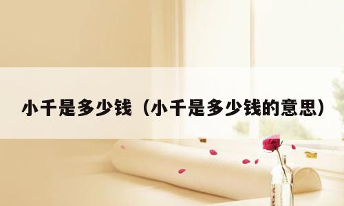 小千是多少钱（小千是多少钱的意思）