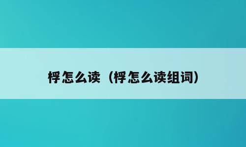 桴怎么读（桴怎么读组词）