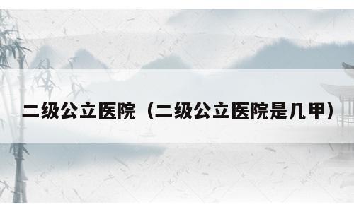 二级公立医院（二级公立医院是几甲）