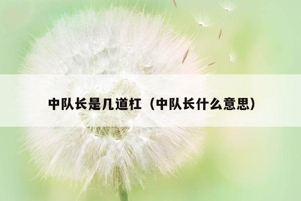 中队长是几道杠（中队长什么意思）