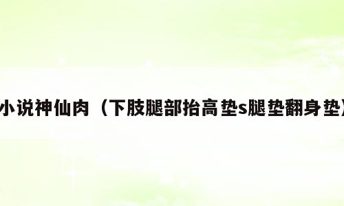 小说神仙肉（下肢腿部抬高垫s腿垫翻身垫）