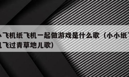 小飞机纸飞机一起做游戏是什么歌（小小纸飞机飞过青草地儿歌）