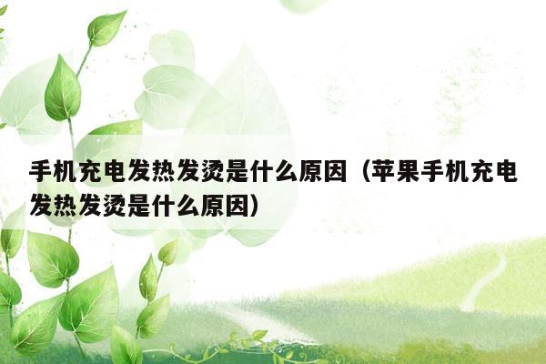 手机充电发热发烫是什么原因（苹果手机充电发热发烫是什么原因）