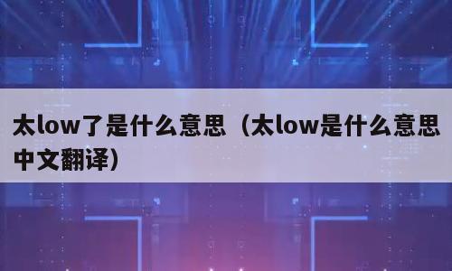太low了是什么意思（太low是什么意思中文翻译）