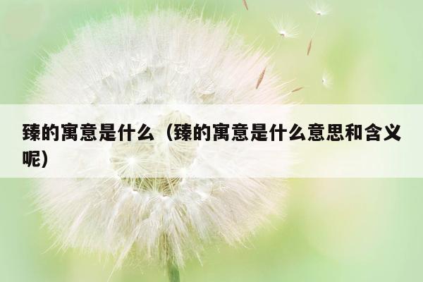 臻的寓意是什么（臻的寓意是什么意思和含义呢）