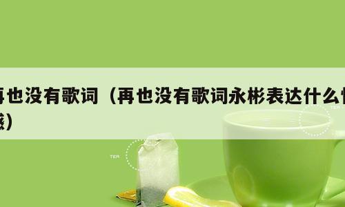 再也没有歌词（再也没有歌词永彬表达什么情感）