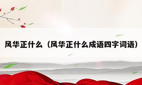 风华正什么（风华正什么成语四字词语）