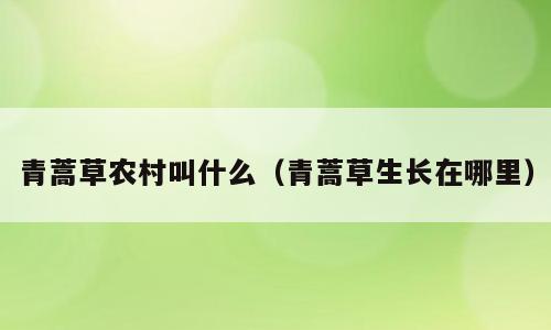青蒿草农村叫什么（青蒿草生长在哪里）