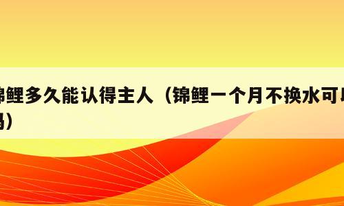 锦鲤多久能认得主人（锦鲤一个月不换水可以吗）