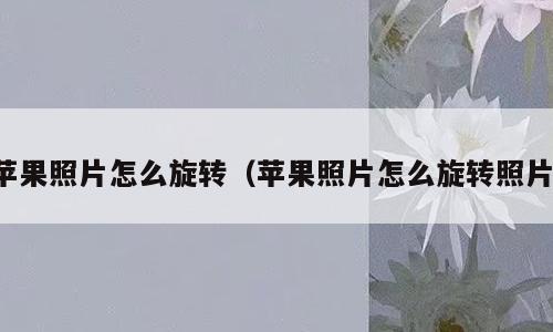 苹果照片怎么旋转（苹果照片怎么旋转照片）