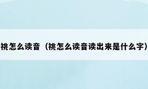祧怎么读音（祧怎么读音读出来是什么字）