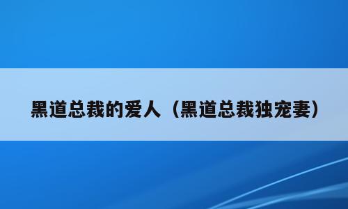 黑道总裁的爱人（黑道总裁独宠妻）