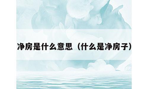 净房是什么意思（什么是净房子）