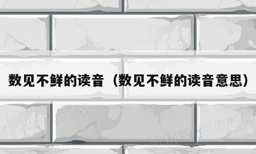 数见不鲜的读音（数见不鲜的读音意思）