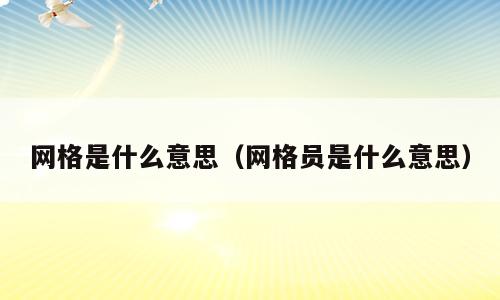 网格是什么意思（网格员是什么意思）