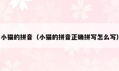 小猫的拼音（小猫的拼音正确拼写怎么写）