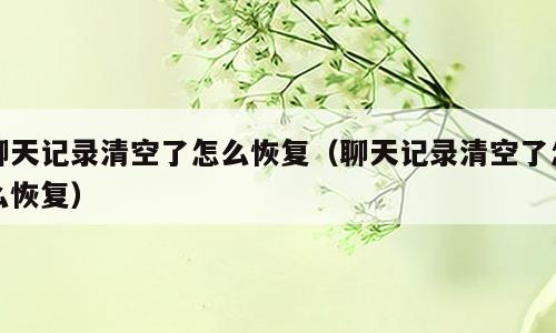 聊天记录清空了怎么恢复（聊天记录清空了怎么恢复）