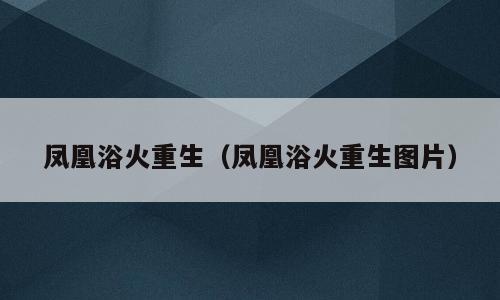 凤凰浴火重生（凤凰浴火重生图片）