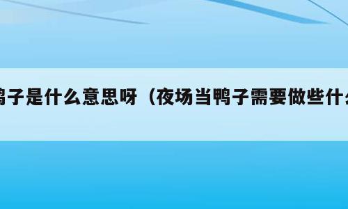 鸭子是什么意思呀（夜场当鸭子需要做些什么）