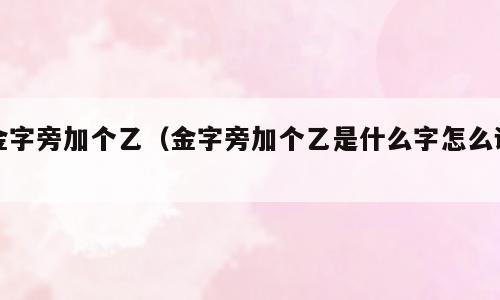 金字旁加个乙（金字旁加个乙是什么字怎么读）