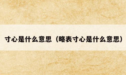 寸心是什么意思（略表寸心是什么意思）