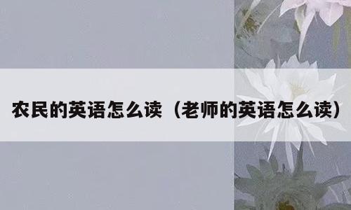 农民的英语怎么读（老师的英语怎么读）