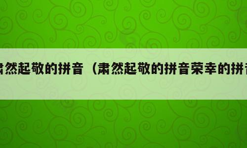肃然起敬的拼音（肃然起敬的拼音荣幸的拼音）