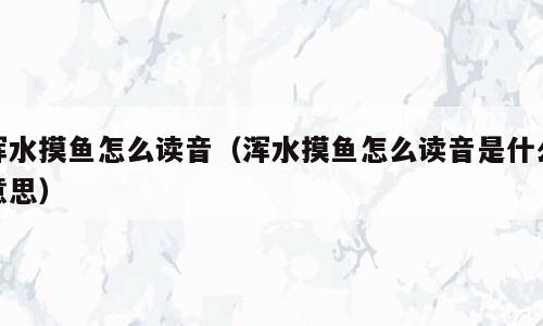 浑水摸鱼怎么读音（浑水摸鱼怎么读音是什么意思）