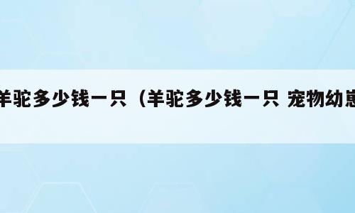 羊驼多少钱一只（羊驼多少钱一只 宠物幼崽）