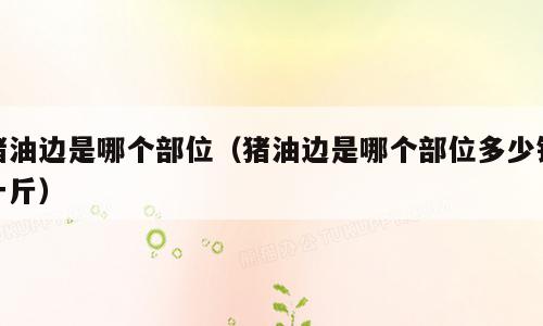 猪油边是哪个部位（猪油边是哪个部位多少钱一斤）