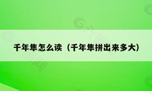 千年隼怎么读（千年隼拼出来多大）
