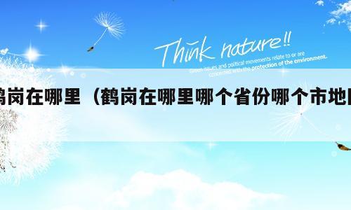 鹤岗在哪里（鹤岗在哪里哪个省份哪个市地图）