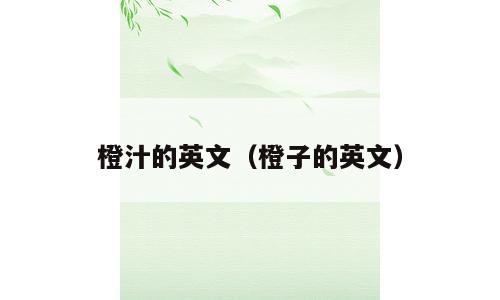 橙汁的英文（橙子的英文）