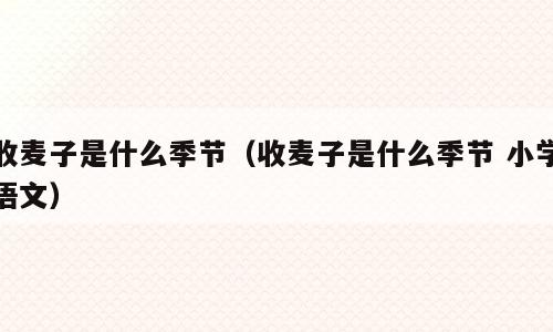 收麦子是什么季节（收麦子是什么季节 小学语文）