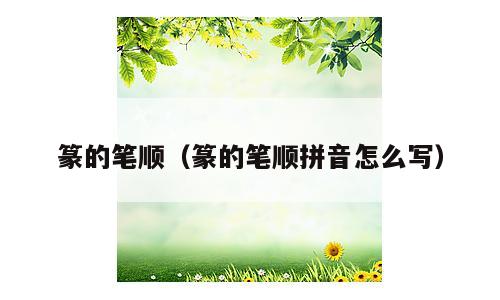 篆的笔顺（篆的笔顺拼音怎么写）