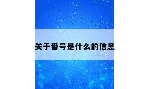 关于番号是什么的信息